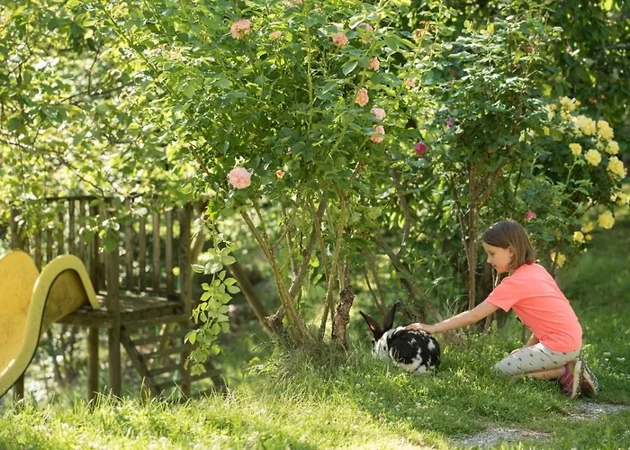Bio-hof Windhaber Farm stay Stubenberg