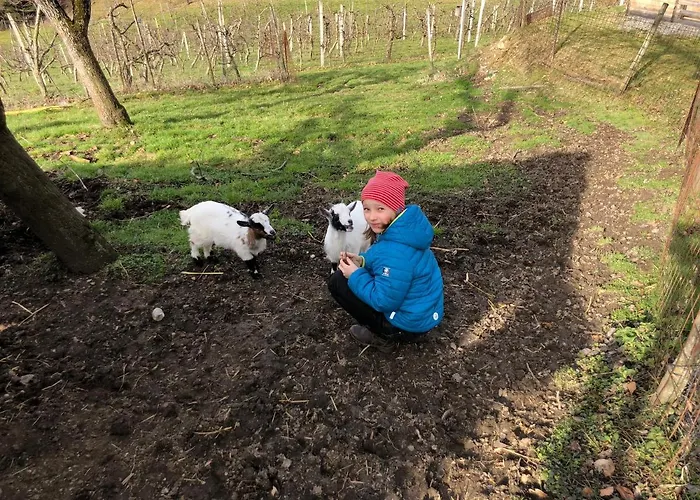 Bio-hof Windhaber Stubenberg